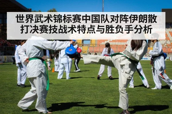 世界武术锦标赛中国队对阵伊朗散打决赛技战术特点与胜负手分析